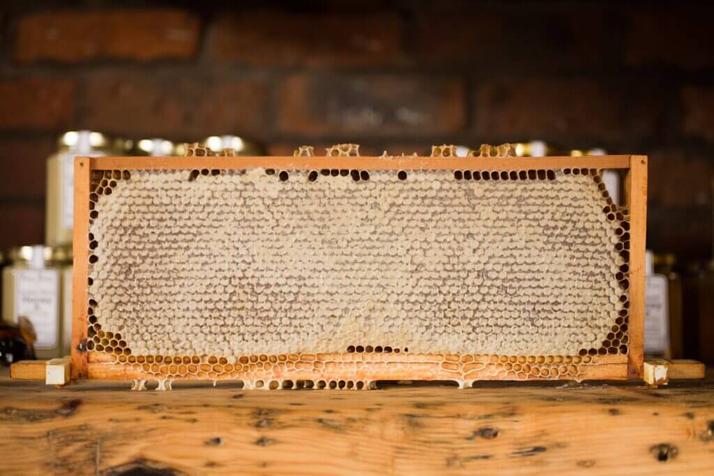 tablero de colmena de abejas